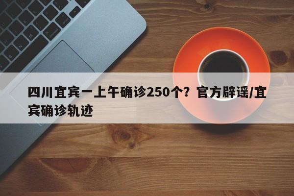 四川宜宾一上午确诊250个?官方辟谣/宜宾确诊轨迹