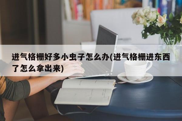 进气格栅好多小虫子怎么办(进气格栅进东西了怎么拿出来)
