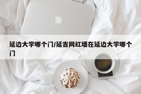 延边大学哪个门/延吉网红墙在延边大学哪个门
