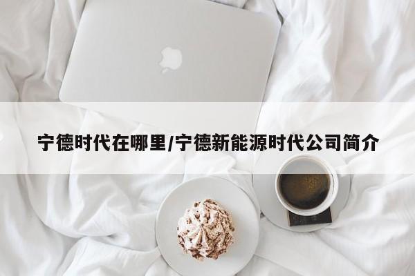 宁德时代在哪里/宁德新能源时代公司简介