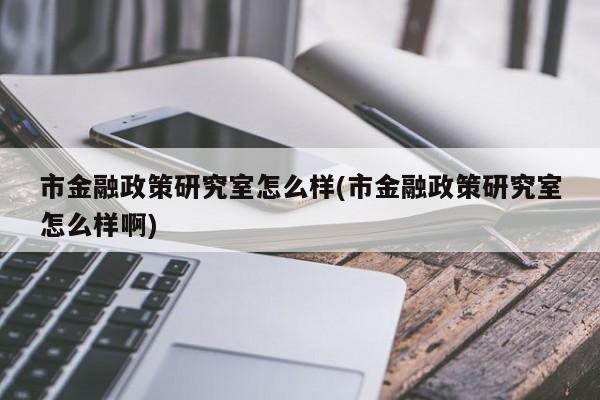 市金融政策研究室怎么样(市金融政策研究室怎么样啊)
