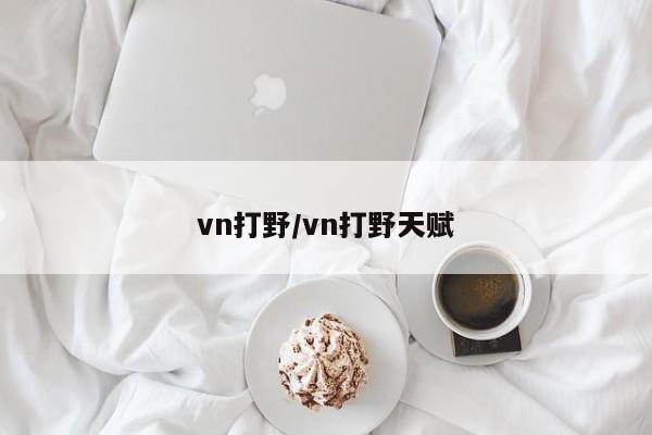vn打野/vn打野天赋